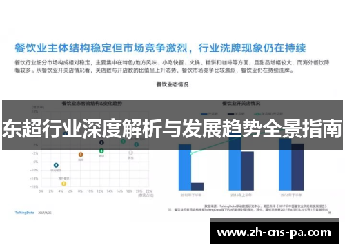 东超行业深度解析与发展趋势全景指南 东超行业深度解析与发展趋势全景指南