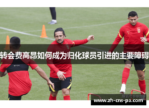 转会费高昂如何成为归化球员引进的主要障碍
