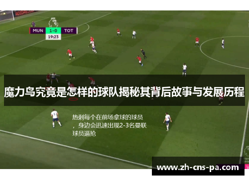 魔力鸟究竟是怎样的球队揭秘其背后故事与发展历程