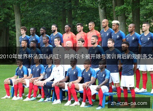 2010年世界杯法国队内讧：阿内尔卡被开除与罢训背后的规则条文